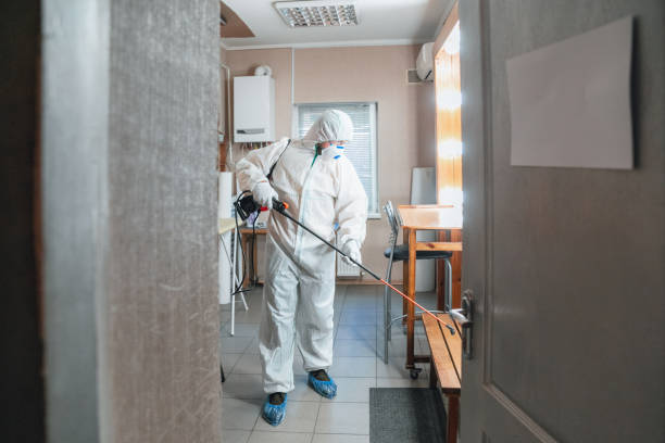 Best Attic Mold Removal  in Montalvin Manor, CA