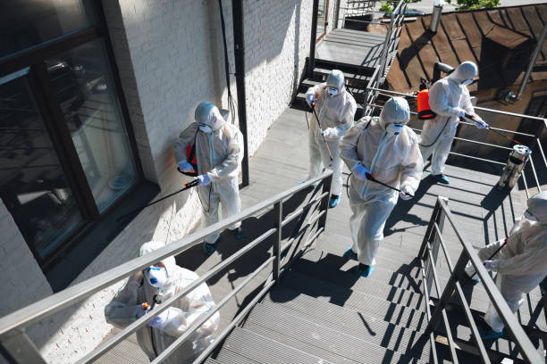 Best Comprehensive Air Testing for Mold Contaminants  in Montalvin Manor, CA