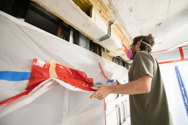 Best Mold Odor Removal Services  in Montalvin Manor, CA