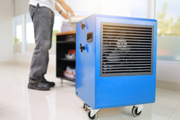 Montalvin Manor, CA Mold Removal Company