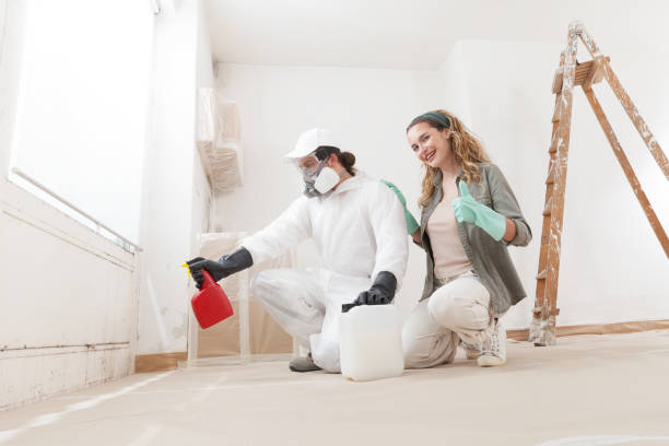 Best Dehumidification Services  in Montalvin Manor, CA