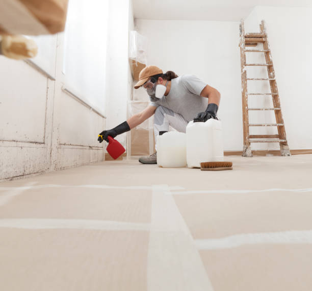 Mold Remediation for Vacation Homes in Montalvin Manor, CA