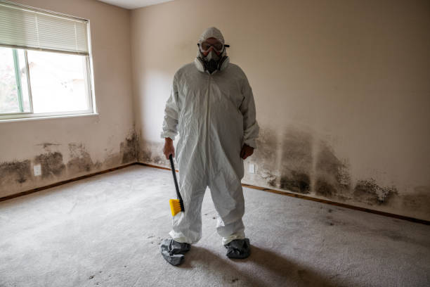 Best Mold Removal for HVAC Installations  in Montalvin Manor, CA